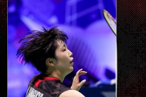 都为球迷们 都为球迷们